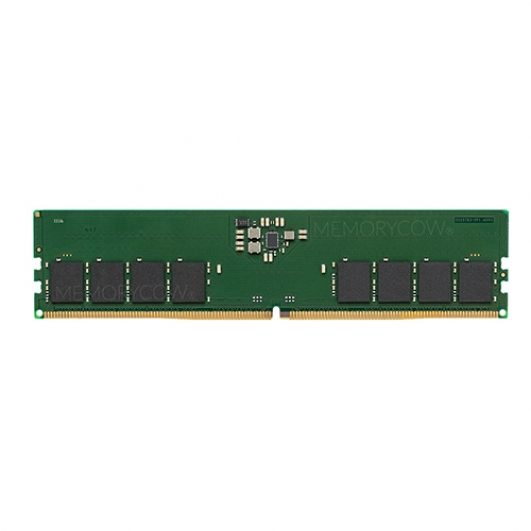 Capacity: 16GB DDR5 ECC Unbuffered DIMM