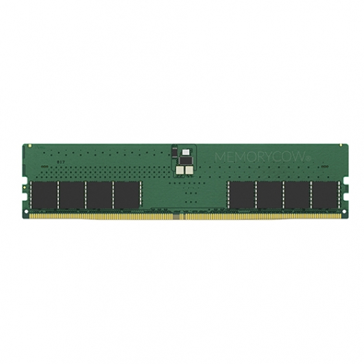 Capacity: 32GB DDR5 ECC Unbuffered DIMM